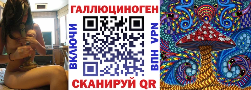 Купить где  Брянск  Псилоцибиновые грибы Cubensis 