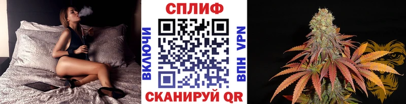 Марихуана SATIVA & INDICA  Купить где  Брянск 